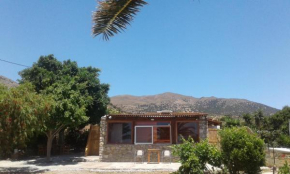 Antonis's Palm House